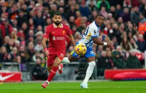 Soi kèo Liverpool vs Brighton 22h00, 13/12/2025 Ngoại Hạng Anh 1 Soi kèo Liverpool vs Brighton